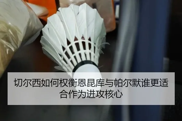 切尔西如何权衡恩昆库与帕尔默谁更适合作为进攻核心